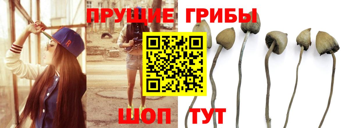 Семёнов  Галлюциногенные грибы Magic Shrooms  Вход с VPN  Псилоцибиновые грибы мицелий 